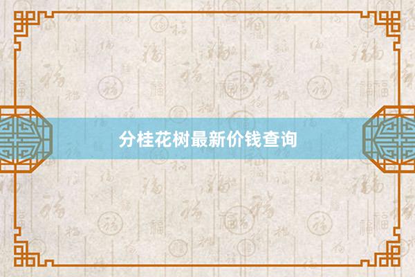 分桂花树最新价钱查询